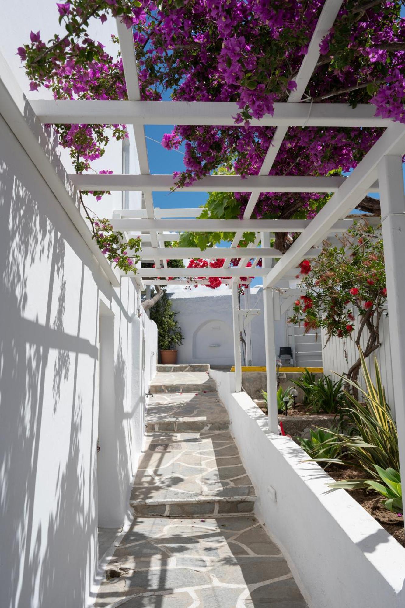 Boutique Di Vito Hotel Mykonos Town Luaran gambar