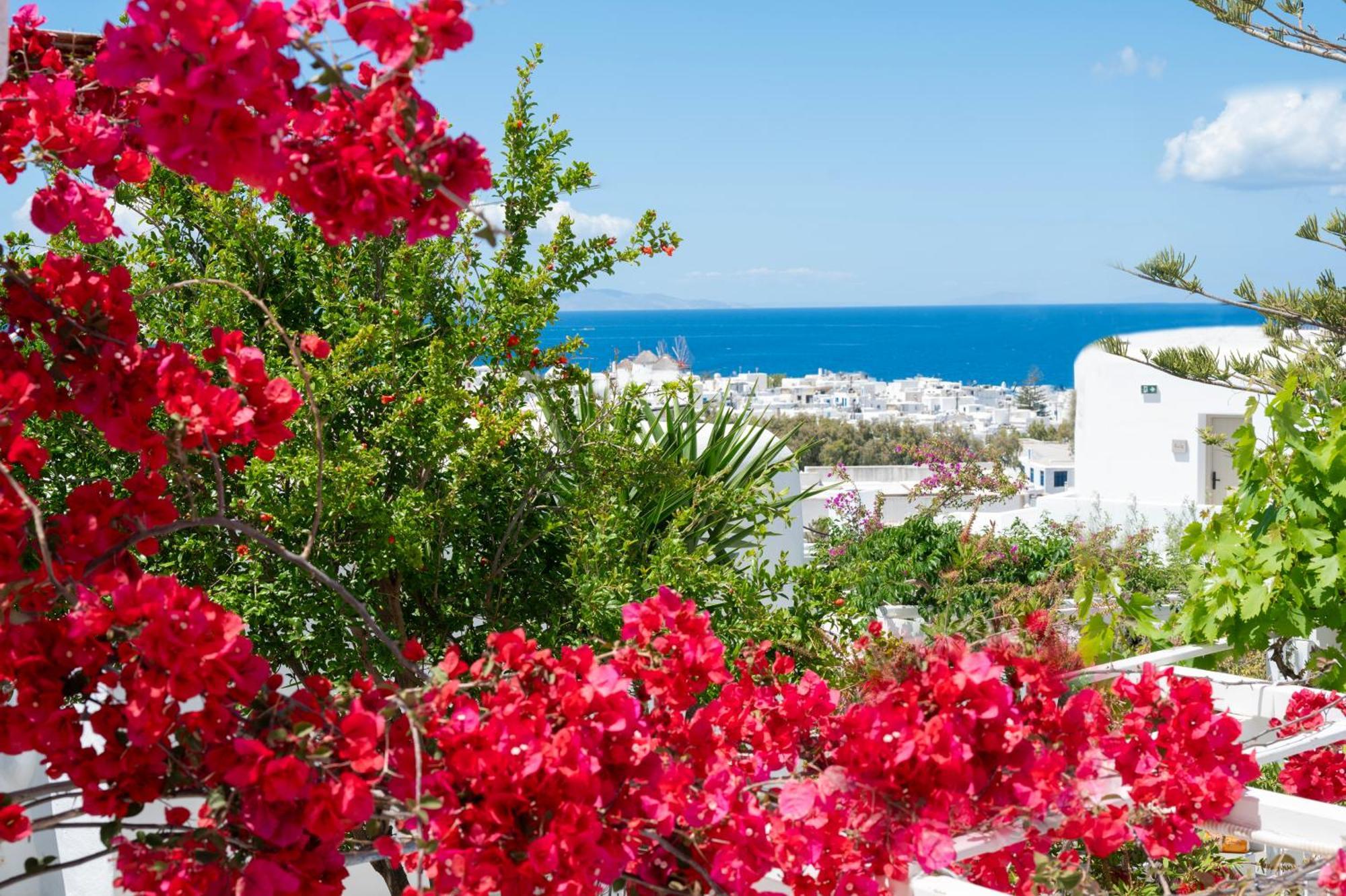 Boutique Di Vito Hotel Mykonos Town Luaran gambar